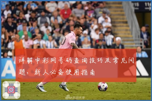 详解中彩网号码查询技巧及常见问题，新人必备使用指南