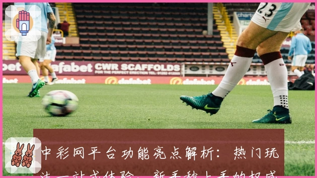 中彩网平台功能亮点解析：热门玩法一站式体验，新手秒上手的权威指南