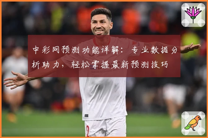 中彩网预测功能详解：专业数据分析助力，轻松掌握最新预测技巧