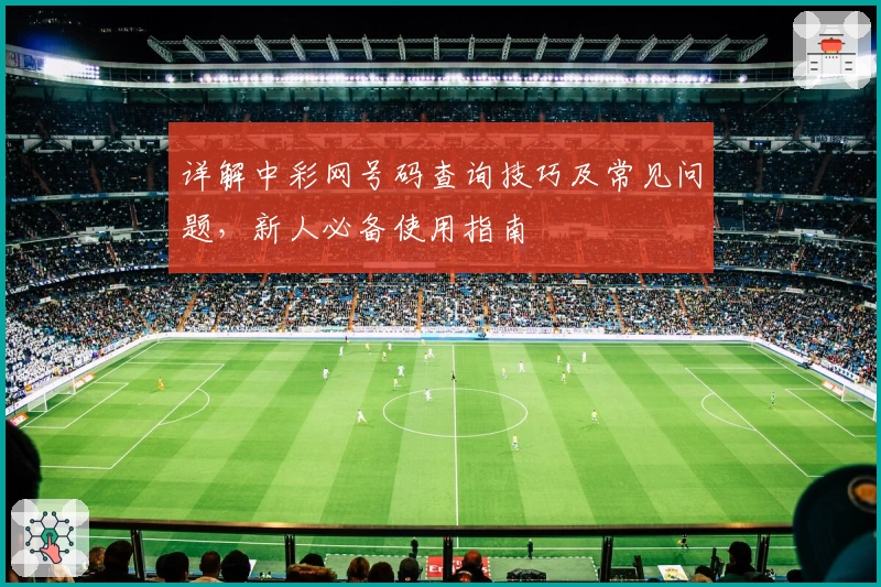 详解中彩网号码查询技巧及常见问题，新人必备使用指南