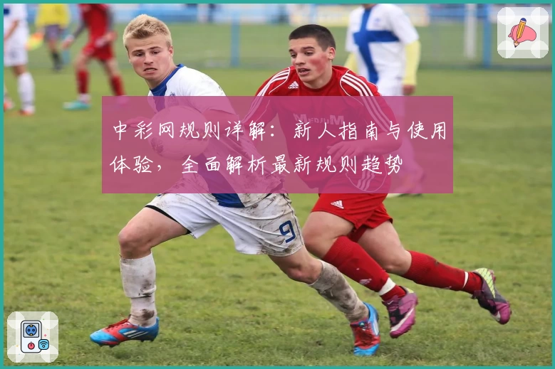 中彩网规则详解：新人指南与使用体验，全面解析最新规则趋势